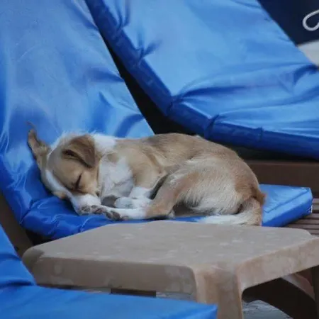 Hotel apartamentowy Mavikosk Dalyan